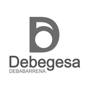 Degebesa